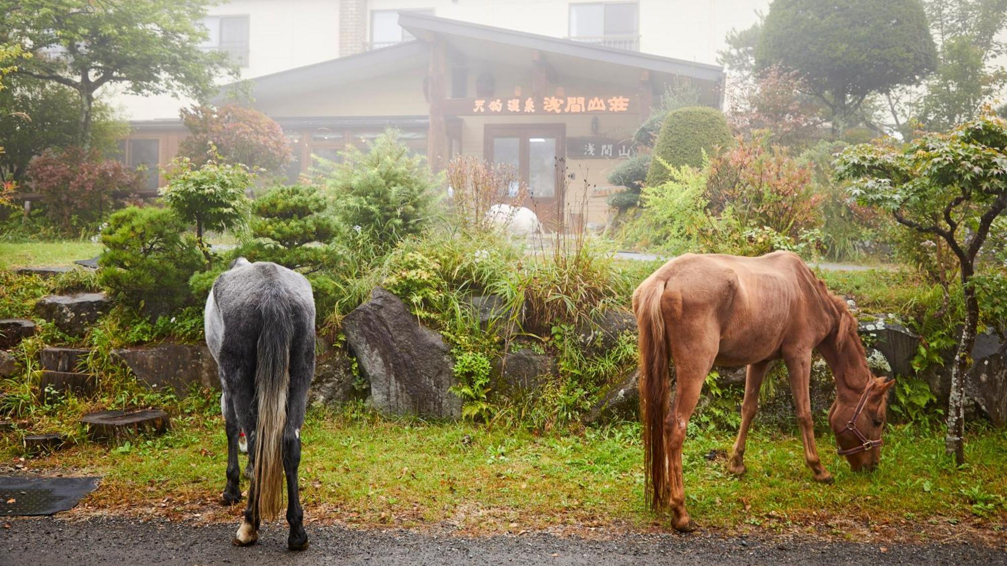 Tengu Onsen Asama Sanso Komoro Bagian luar foto